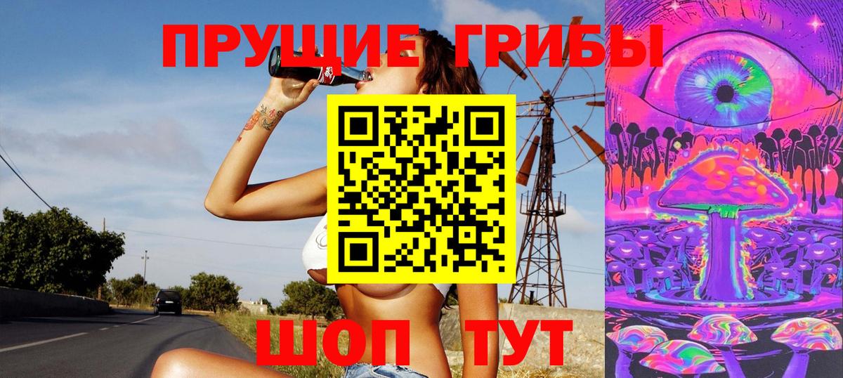 Губкин  Псилоцибиновые грибы Psilocybe  Вход с VPN 