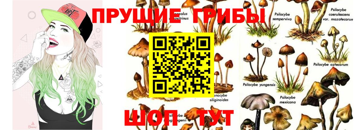 МЕФ Губкин