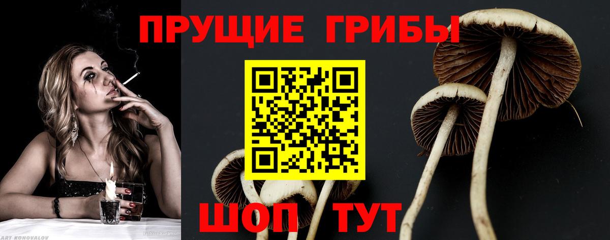 Галлюциногенные грибы мухоморы Губкин